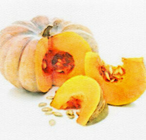 Courge Musquée Muscade