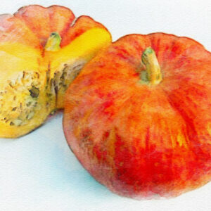 Potiron Rouge vif d'Etampes