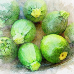 Courgette Ronde de Nice