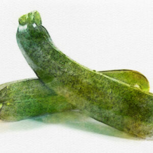 Courgette Black Beauty