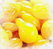 Tomate cerise Poire jaune
