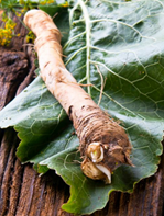 ARMORACIA rusticiana BIO - 1L